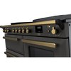Rangemaster ESDLO110EIPSLT/AB1 110cm Induction Range Cooker Estel Deluxe Slate / Antique Brass, A Rated