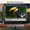 LG 85QNED7EB3A.AEK 85" Television, E Rated