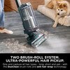 Shark AZ3900UKT PowerDetect  Powered Lift-Away Upright Pet Vacuum Cleaner, Blue