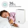 Ecoair DD3 Classic MK3 Desiccant Dehumidifier with Digital Hygrometer, Antibacterial Filter and 4.2 Litre Tank, White