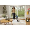 Shark EX300UK CarpetXpert HairPro Pet Deep Carpet Cleaner with Built-In StainStriker, Black