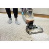 Shark EX300UK CarpetXpert HairPro Pet Deep Carpet Cleaner with Built-In StainStriker, Black