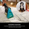 Shark EX300UK CarpetXpert HairPro Pet Deep Carpet Cleaner with Built-In StainStriker, Black