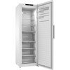 Bosch GSN36VWDGG Tall Freezer