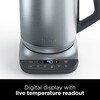 Ninja KT201UK Perfect Temperature Kettle, Rapid Boil, Silver