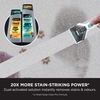 Shark PX200UKT StainStriker Pet Stain & Spot Cleaner, White