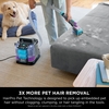 Shark PX250UKT StainStriker HairPro Pet Stain & Spot Cleaner, Silver