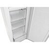 Sensis RFTLF01Z54EW Low Frost Tall Freezer, White, E Rated