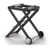 Ninja XSKGRLLSTDEUK Woodfire Electric BBQ Grill Stand, Black