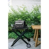 Ninja XSKGRLLSTDEUK Woodfire Electric BBQ Grill Stand, Black