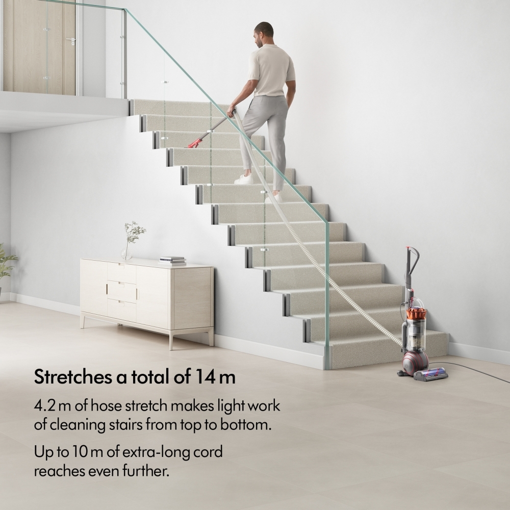 Dyson Ball Animal 2 New Upright Vacuum Cleaner