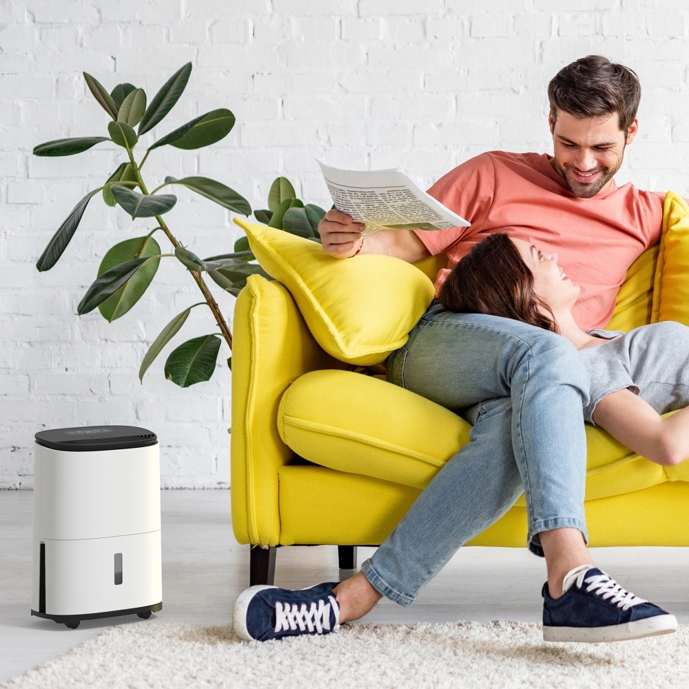 Meaco ARETEONE12L Dry Arete One 12l Dehumidifier & Air Purifier - White and Charcoal Black