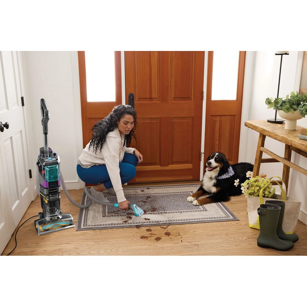 Shark EX300UK CarpetXpert HairPro Pet Deep Carpet Cleaner with Built-In StainStriker, Black