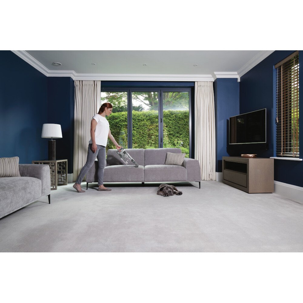 Shark IZ420UKT Stratos Anti Hair Wrap Plus Pet Pro Cordless Vacuum Cleaner [Double Battery], Silver