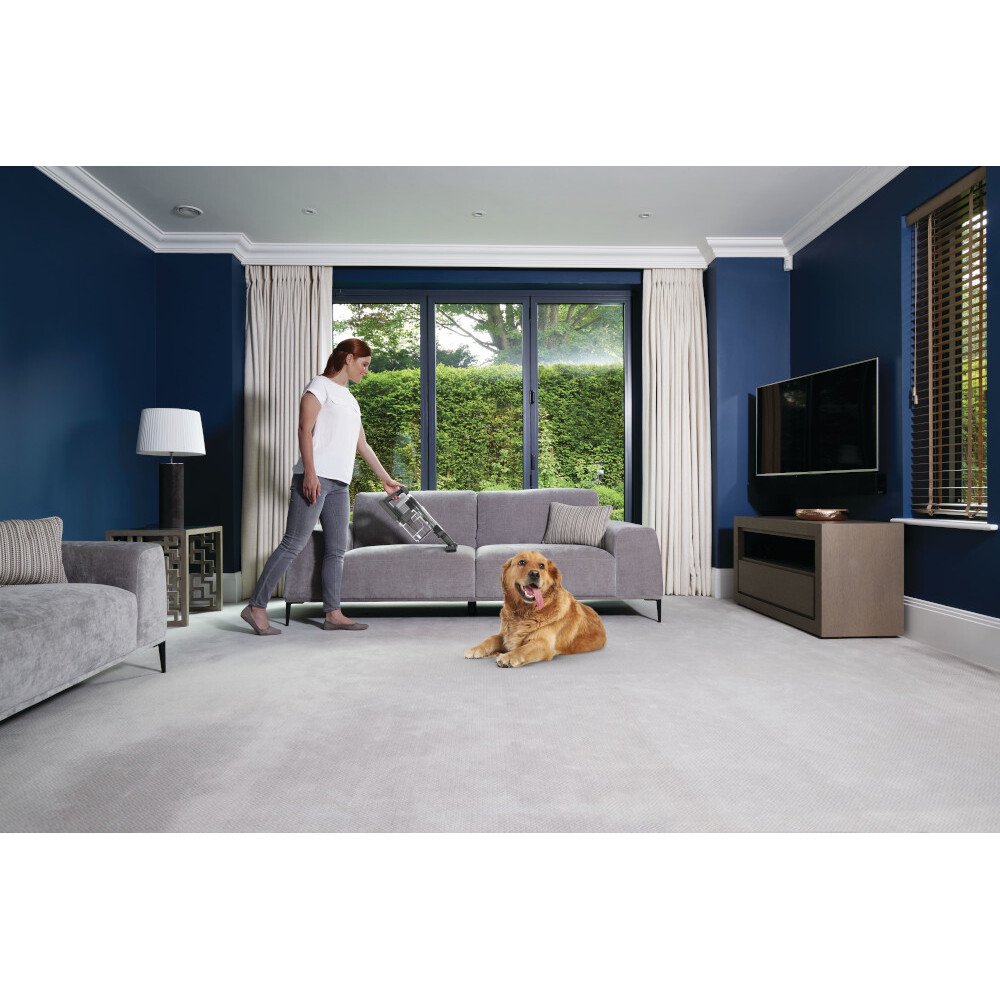 Shark IZ420UKT Stratos Anti Hair Wrap Plus Pet Pro Cordless Vacuum Cleaner [Double Battery], Silver