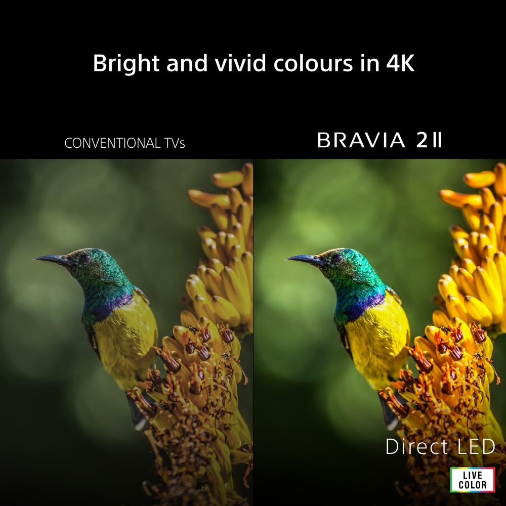 Sony K65S25M2PB.UKA 65" Smart Television, 4K Ultra HD, Black, E Rated