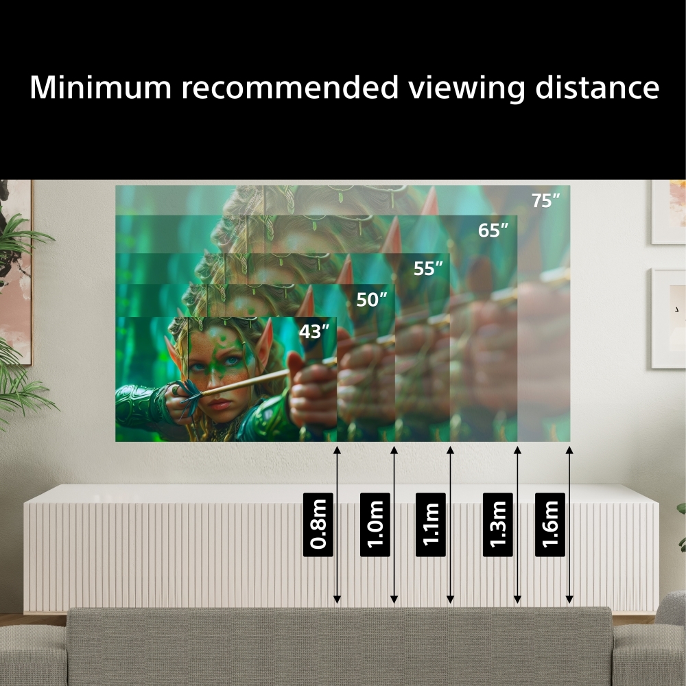 Sony K75S25M2PB.UKA 75" Television