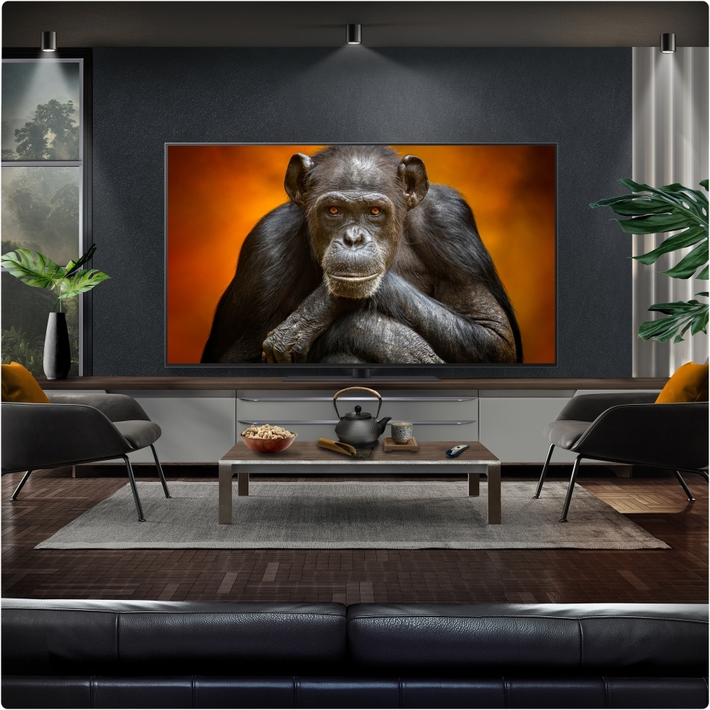 LG OLED55G56LS 55" OLED Smart Television, 4K Ultra HD, Silver, E Rated