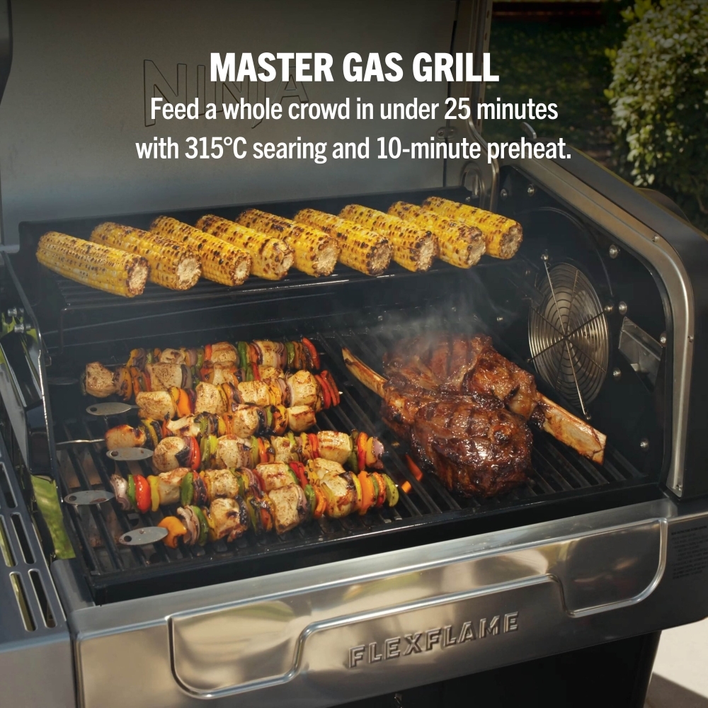 Ninja PG301UK Gas BBQ Grill