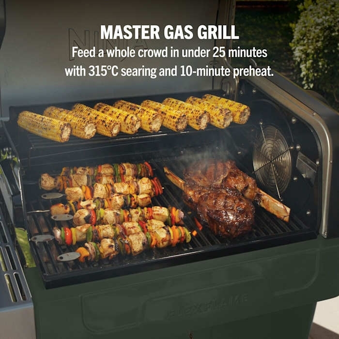 Ninja PG301UKGN Gas BBQ Grill, Green
