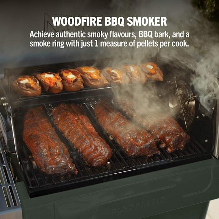 Ninja PG301UKGN Gas BBQ Grill, Green