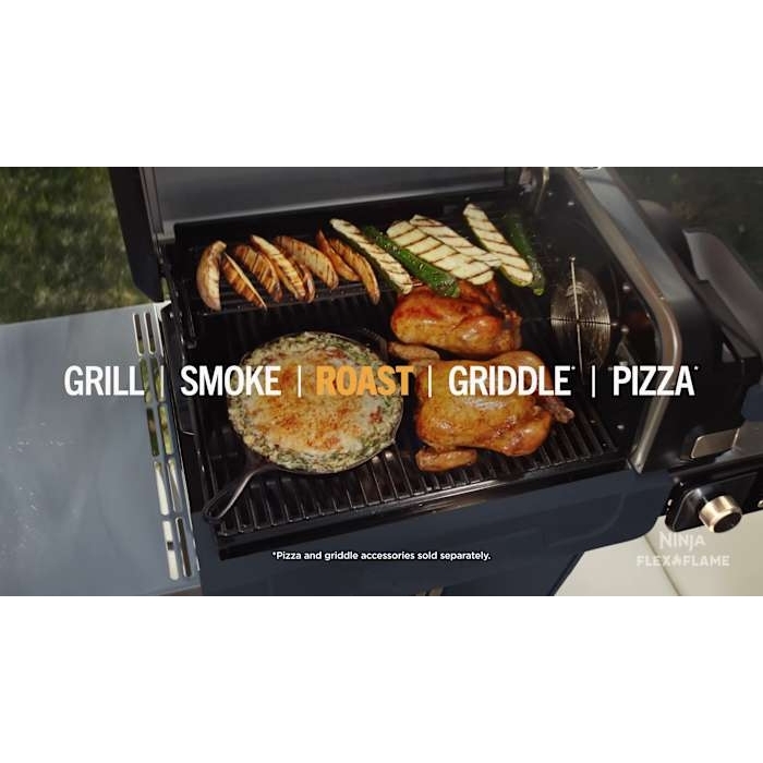Ninja PG301UKGN Gas BBQ Grill, Green