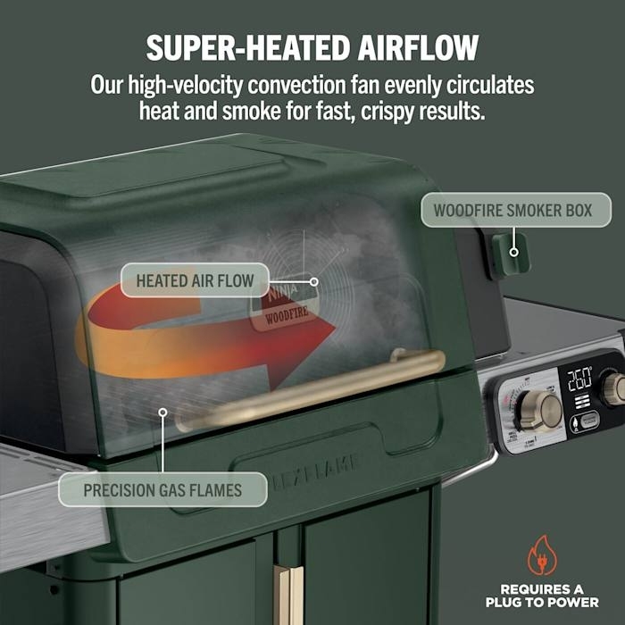 Ninja PG301UKGN Gas BBQ Grill, Green