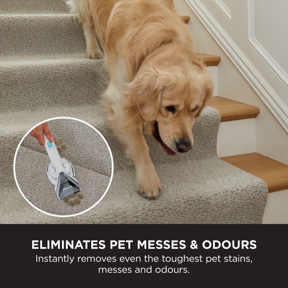 Shark PX200UKT StainStriker Pet Stain & Spot Cleaner, White