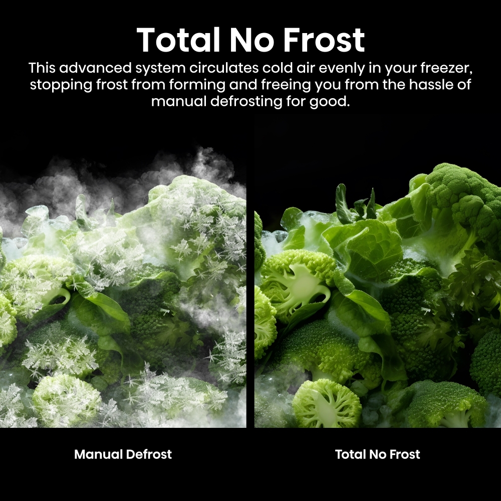 Hisense RS5P668SSFC American Fridge Freezer, Black, C Rated,  Non-Plumbed