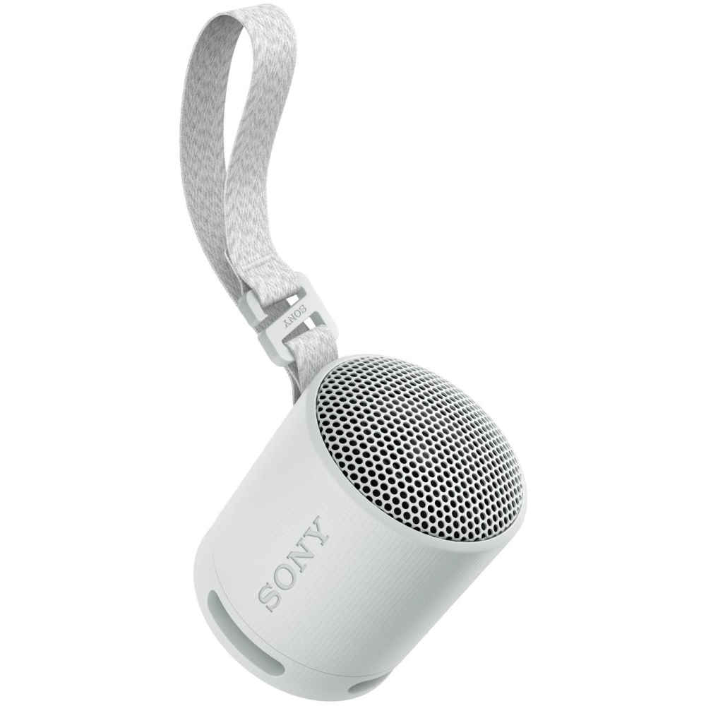 Sony SRSXB100H.CE7 Wireless Speaker, Grey