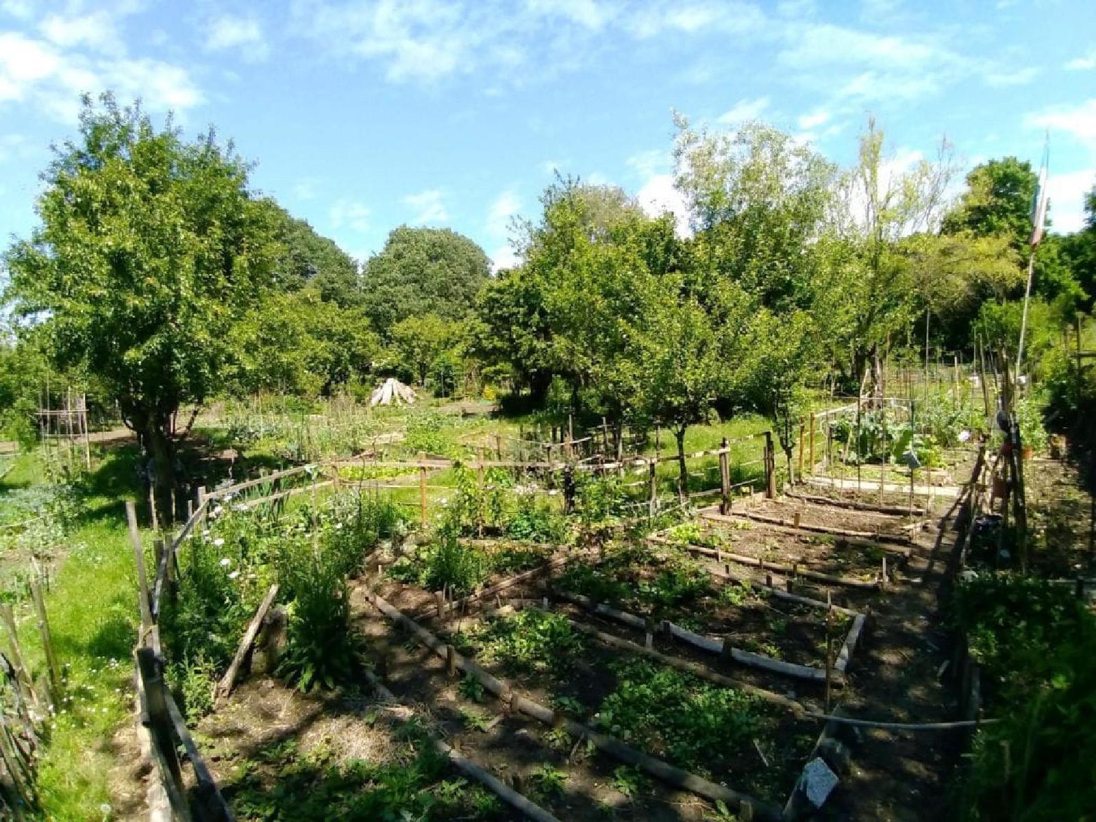 Insieme per l'ambiente