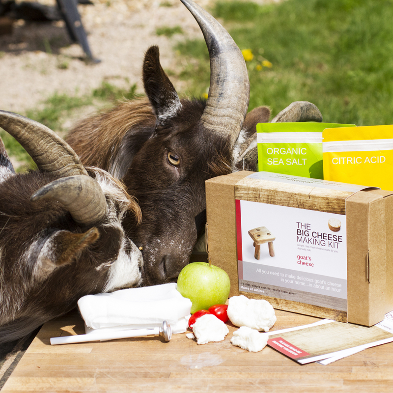 Goats Cheese Making Kit Buy from