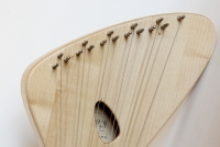 bourdonlier ahorn (esdoorn) glanslak