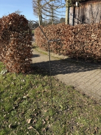 Plantenpen exclusief potje