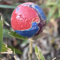 Sierbol voor in de tuin