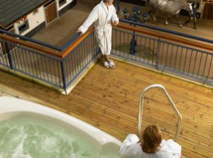 The Victorian Treatment Rooms at Castle Leslie Estate 4