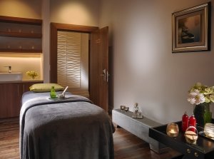 The Spa at Castleknock Hotel 8