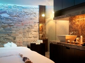 Carton House Spa 5