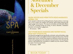 The Spa at Castleknock Hotel