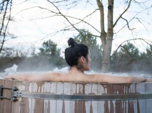 The Bathhouse at Bellinter House