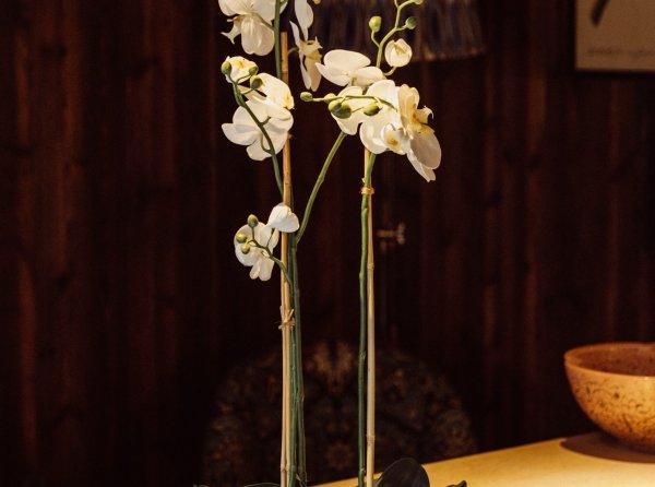 Brooks & Co. at Glasson Lakehouse 1