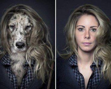 test-que-raza-de-perro-eres