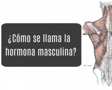 test-anatomia-masculina