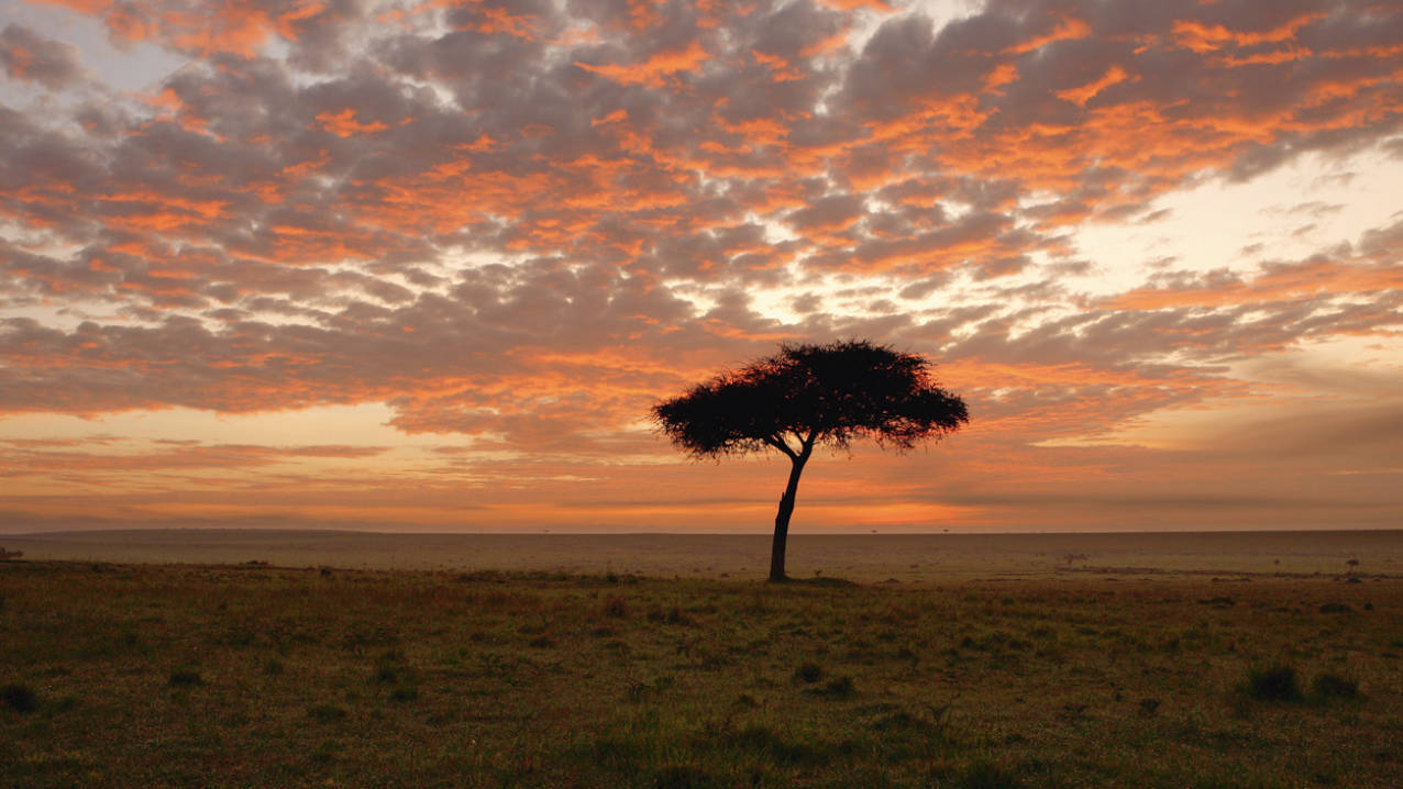 Explore the great nature of kenya