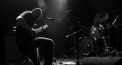 Beehoover (DE), Horn Of The Rhino (ES)