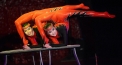 Circus GO - Das Circusrestaurant