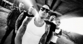 Raised Fist (SE)