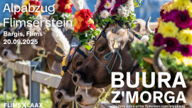 Alpabzug Flimserstein: Buura Z'Morga Bargis Flims Billets