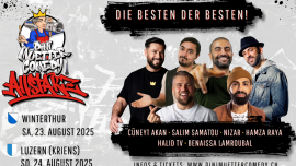 Dini Muetter Comedy - ALLSTARZ Hotel Töss Winterthur Biglietti