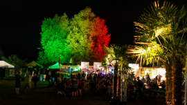 Reeds Festival 2026 Seequai Pfäffikon Zh Billets